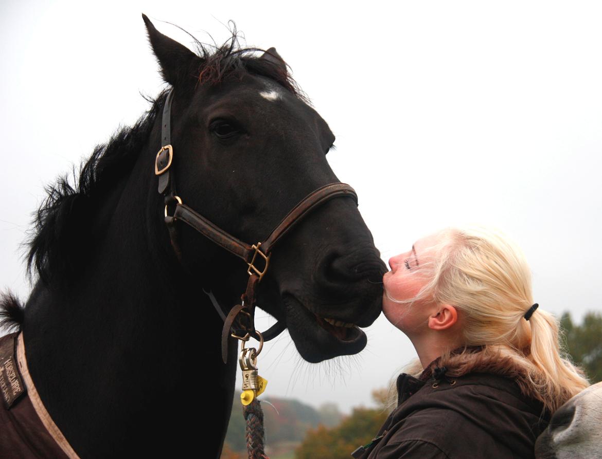 Anden særlig race Miro billede 2