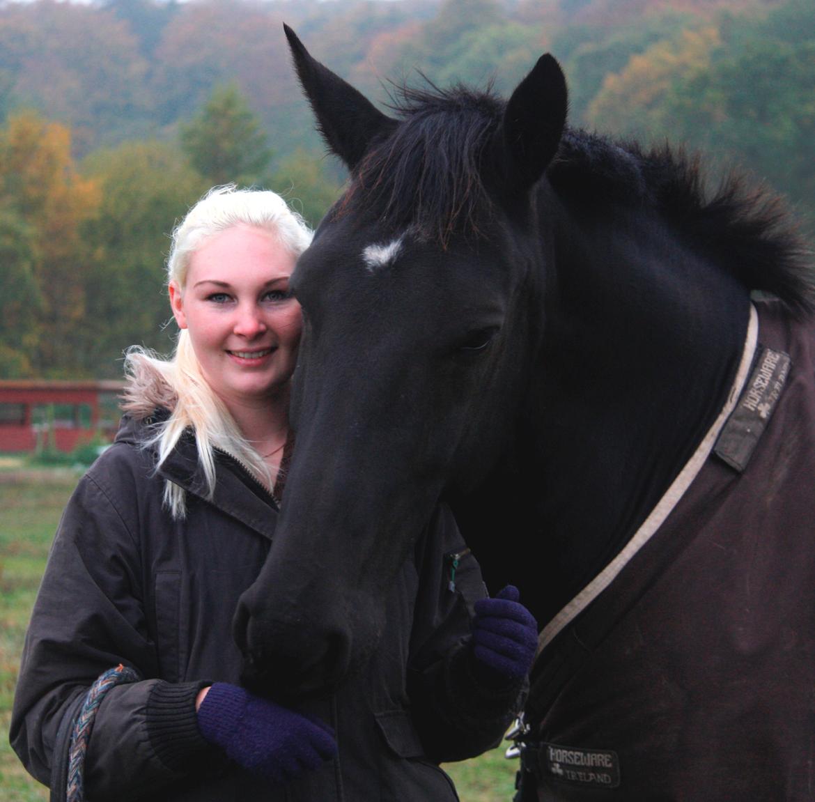 Anden særlig race Miro billede 18