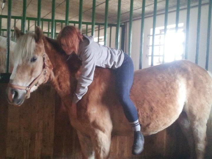 Haflinger Frederikke! - Jeg stoler hundrede procent, på min lille prinsesse! billede 1