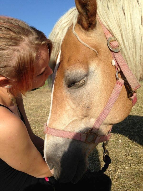 Haflinger Frederikke! - Sommeren 2013! billede 14