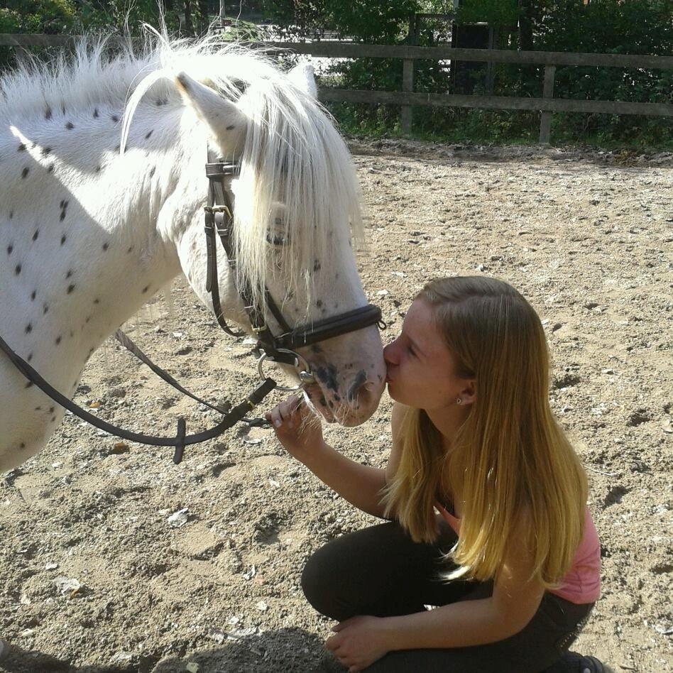 Knabstrupper Susi af Kaldred *Prinsessen* - Do you remember our first kiss? <3 billede 18