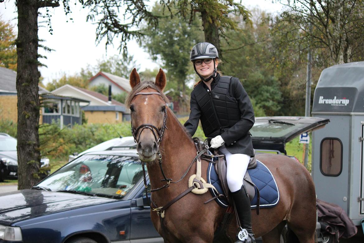 DSP Kærvangs GoldenFox - Vores allerførste stævne d. 12/10 - 2 nulrunder i LB <3 billede 8