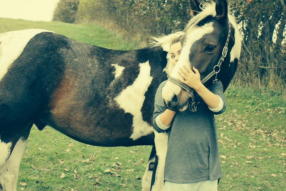 Pinto Tornado billede 18