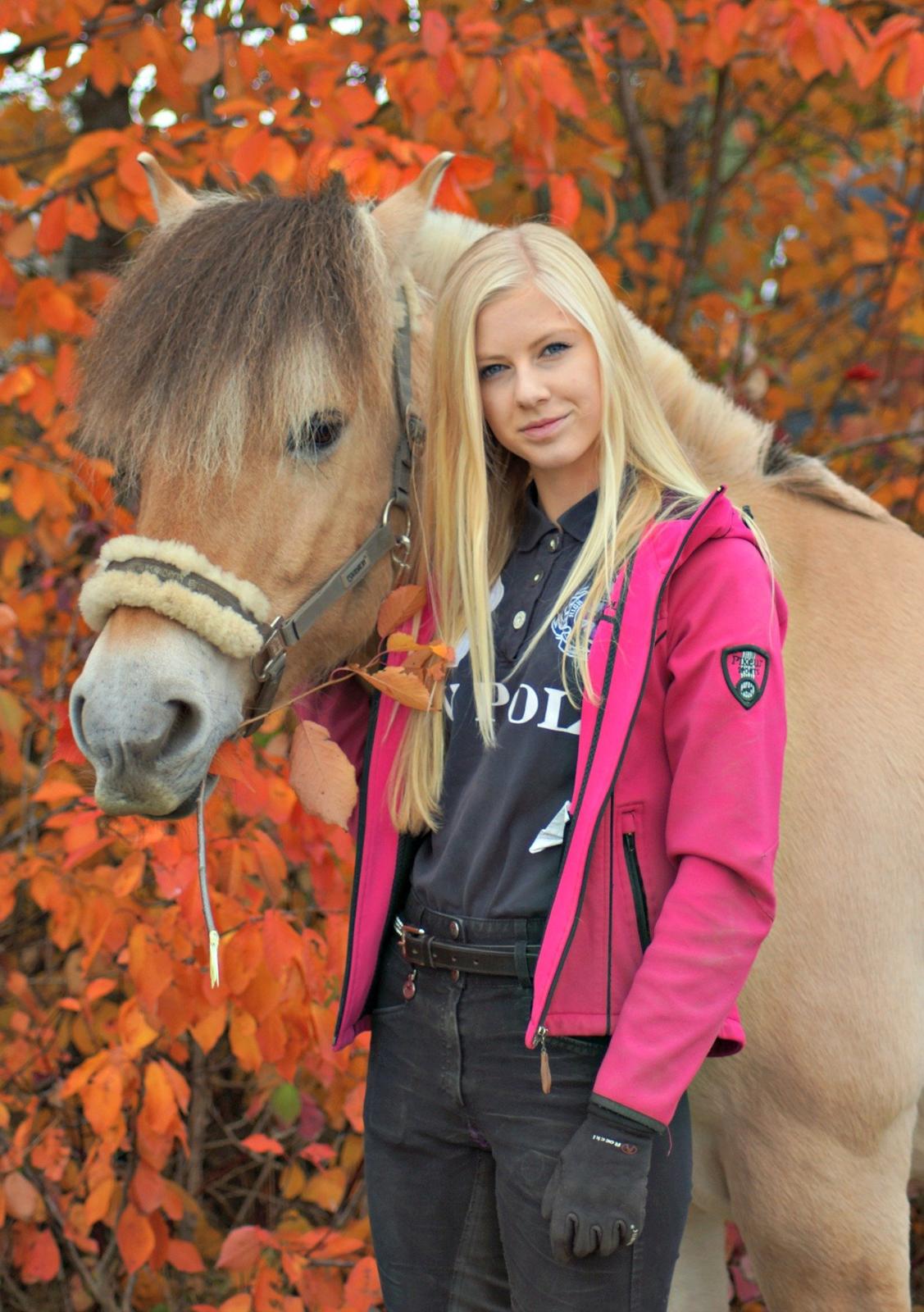 Fjordhest Viktor Vårby *Guldklumpen* - NYT* Efteråret 2013 - Velkommen til min Viktor mands profil ^_^ <3 billede 1