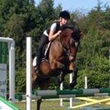 Anden særlig race Filur (Futte) billede 16