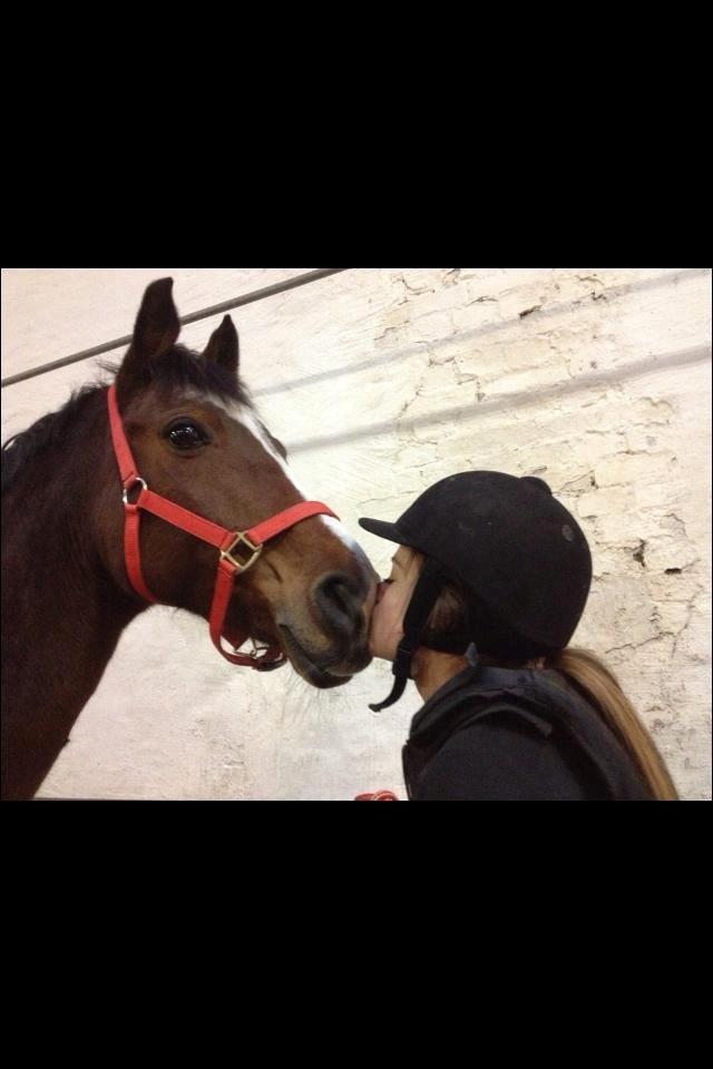 Dansk Varmblod Liberty - kyyyys <3 billede 11