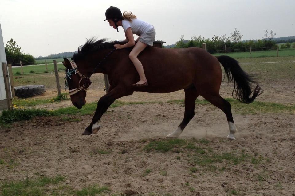 Traver Mac Farlane billede 12