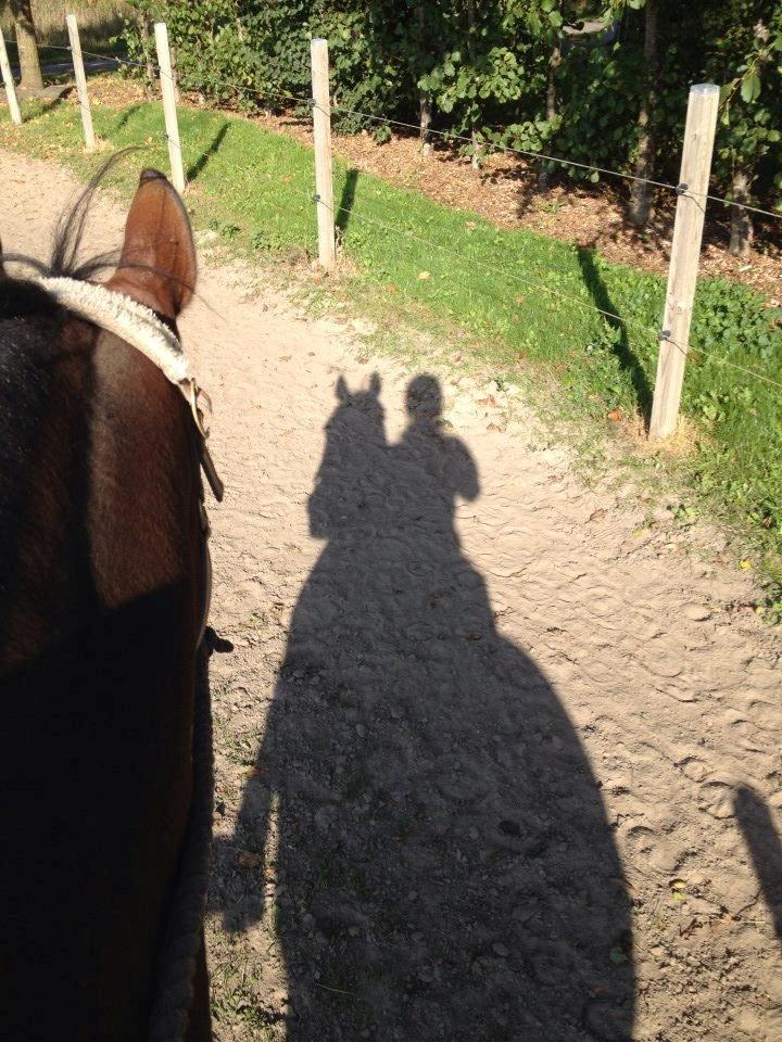 Traver Mac Farlane billede 20