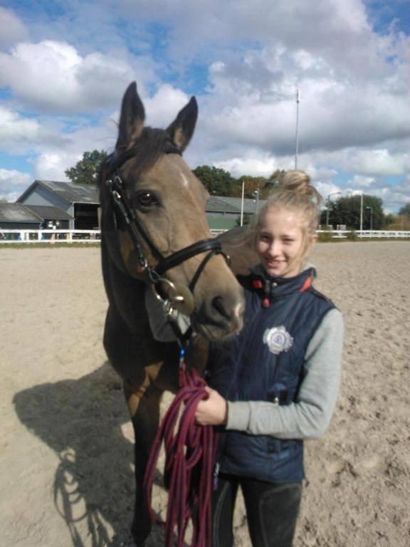 Irsk Sportspony Tullibards Honeydrum - Den første dag jeg havde hende <3  billede 1