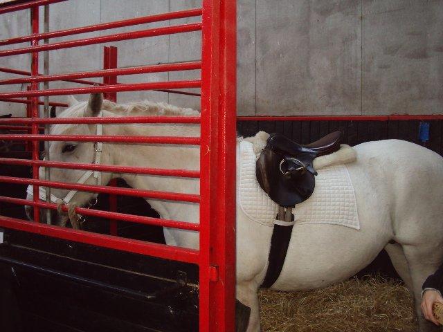 Boulonnais Oasis 18 billede 21