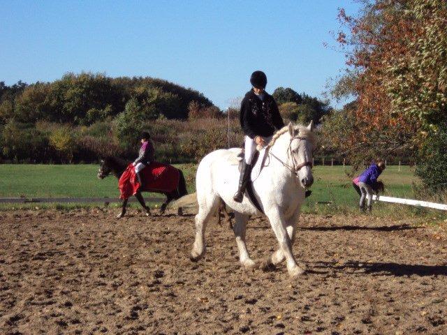 Boulonnais Oasis 18 billede 26