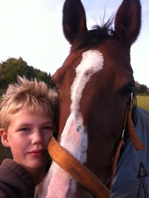 Arabisk fuldblod (OX) Ghana VSR - Kærlighed :D billede 10