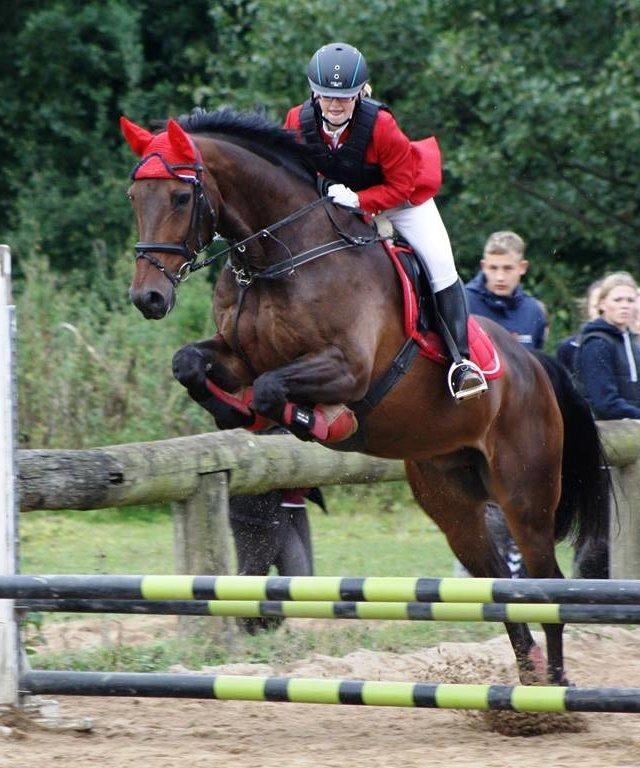 Anden særlig race Sputnik (Sprutte) - Stævne Malling Rideklub 2013
 billede 5