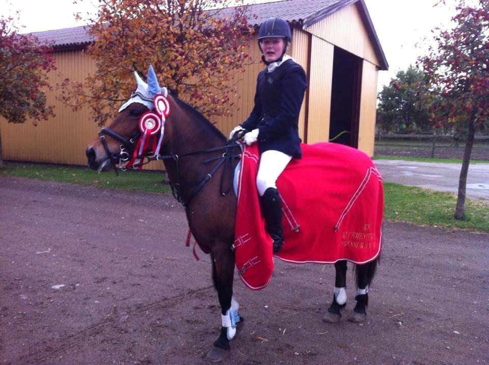 Anden særlig race • S.G.S. MISS BROWN • - Møllebakkens Rideklub - 2013 billede 6