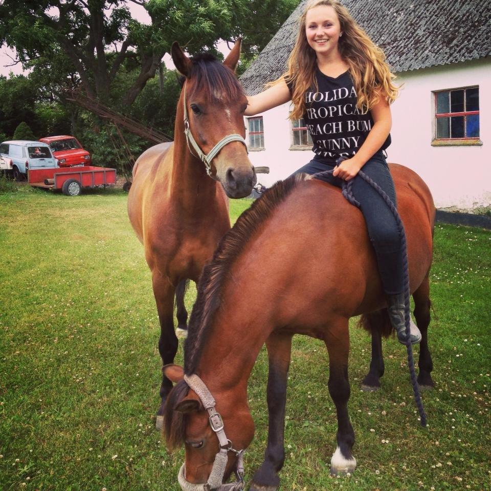 New Forest Stella Nova billede 6