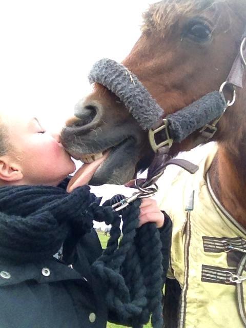 New Forest Stella Nova billede 13