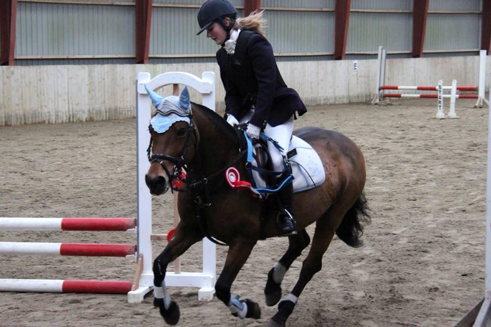 Anden særlig race • S.G.S. MISS BROWN • - ''Før vi giver slip, så husk hvorfor vi holdte fast<3'' MBRK - 2013 billede 8