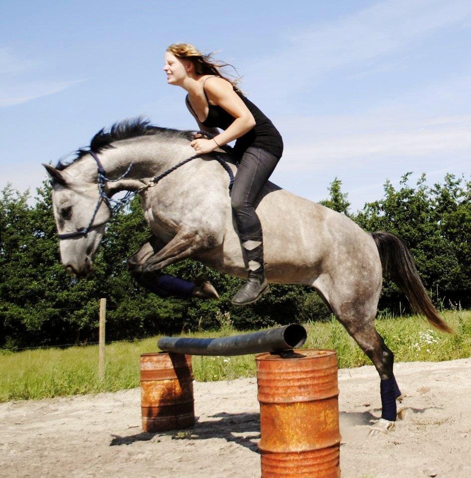 Anden særlig race Grønvangs Fleur de Lis |Flobs|  [Hjemvendt] - Fleur og jeg over 50-70 cm uden sadel og i rebgrime! :D billede 22