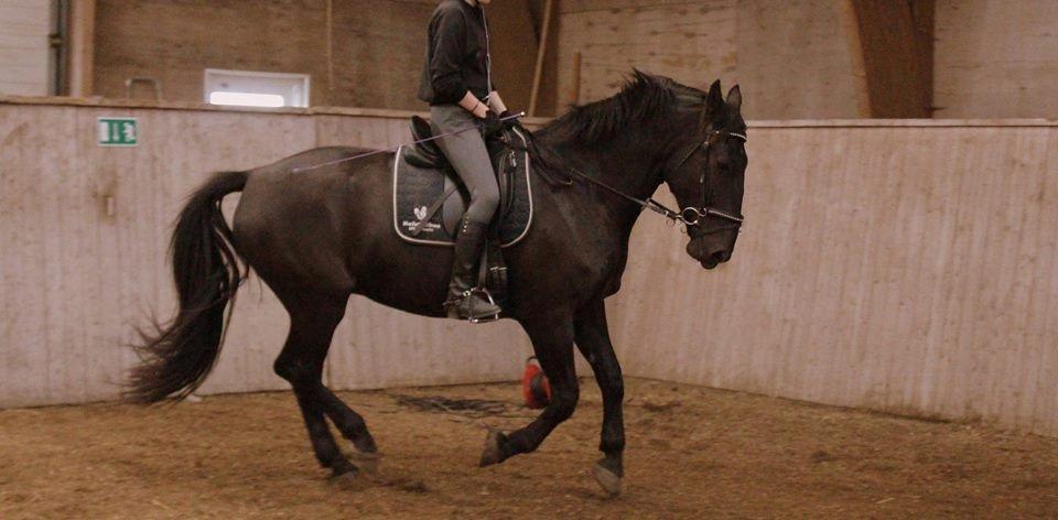 Oldenborg Olfert Almager - En stjerne<3 billede 2