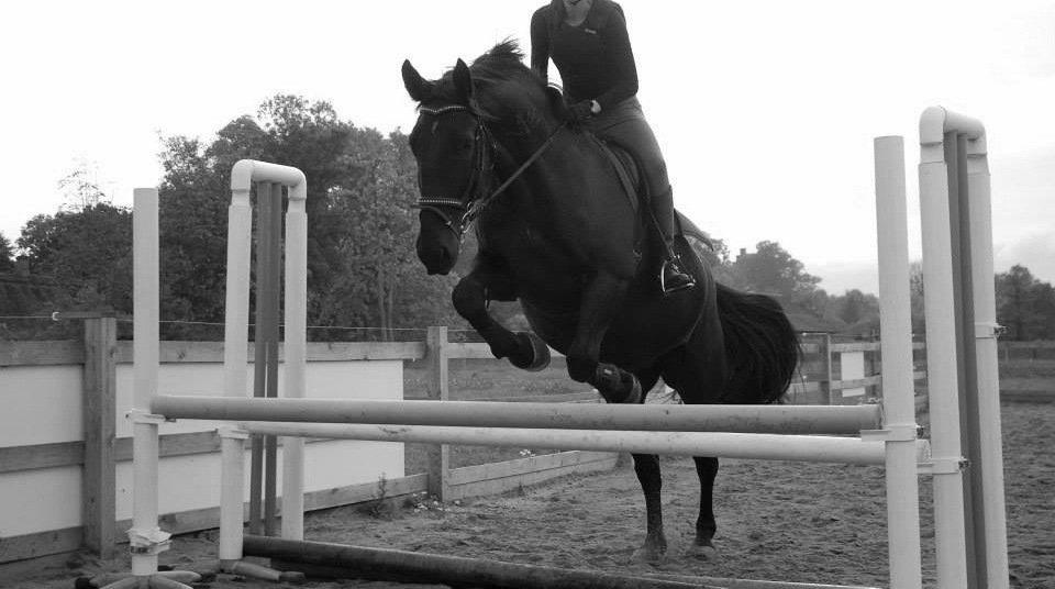 Oldenborg Olfert Almager - Tak fordi i kiggede forbi hans profil<3 Foto: Mille N. Mathiasen billede 18