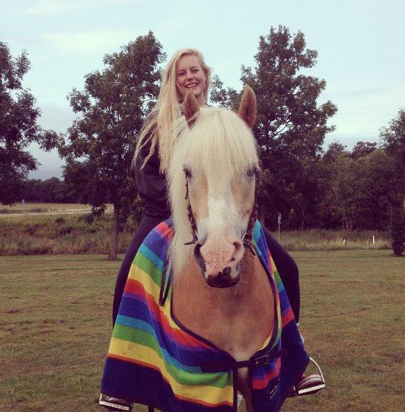 Haflinger Leris billede 14