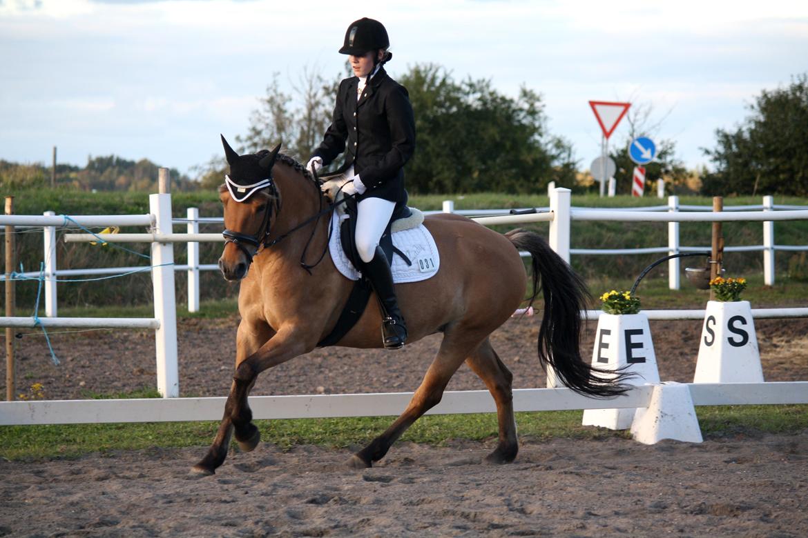 Anden særlig race Lady<3 - LB2 <3 billede 7