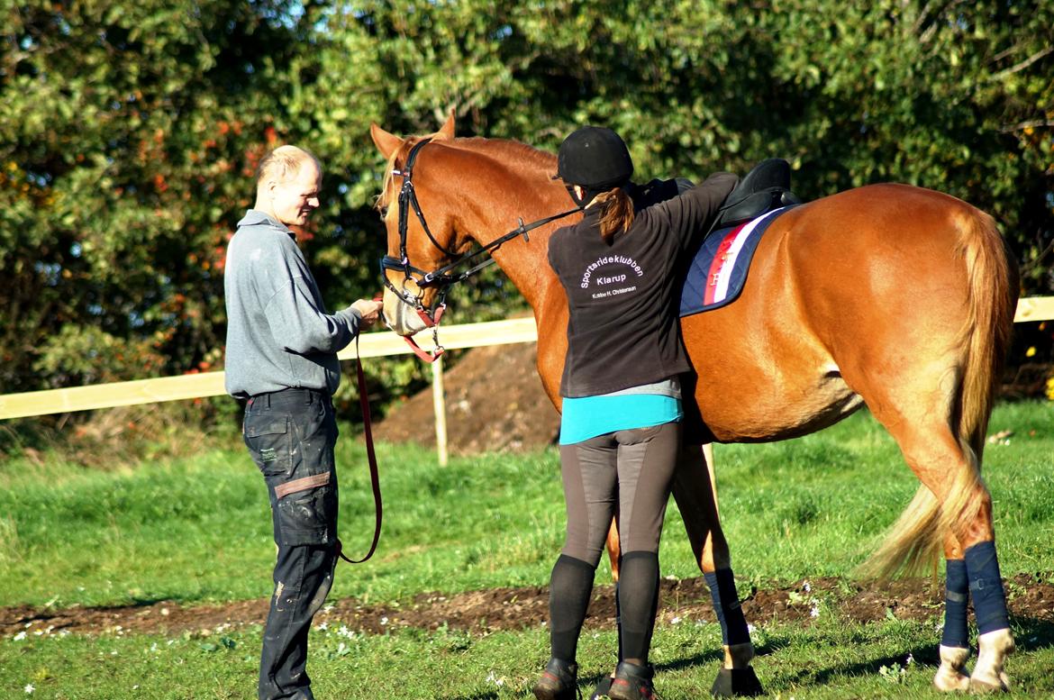 Frederiksborg Vejvads Chanel billede 42