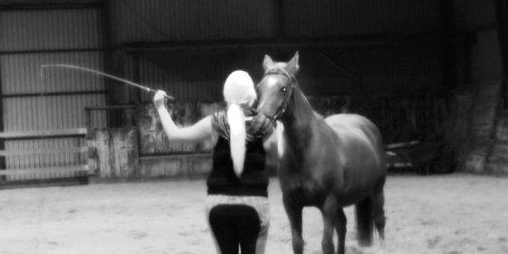 Anden særlig race Queen - Kærlighed, passeres på tillid. <3  Tak fordi i kiggede! billede 20