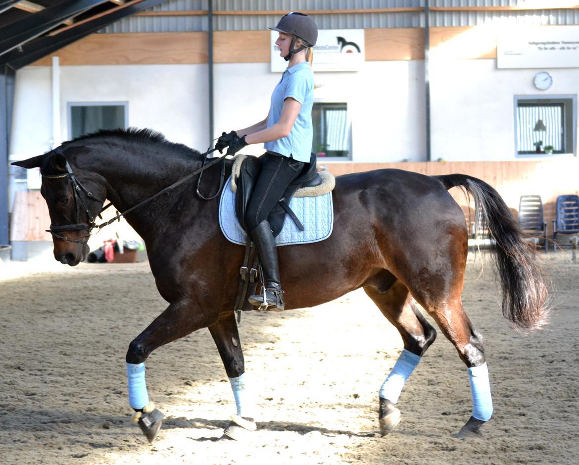 Holstener Jarl - Undervisning d. 14-10-13 billede 17