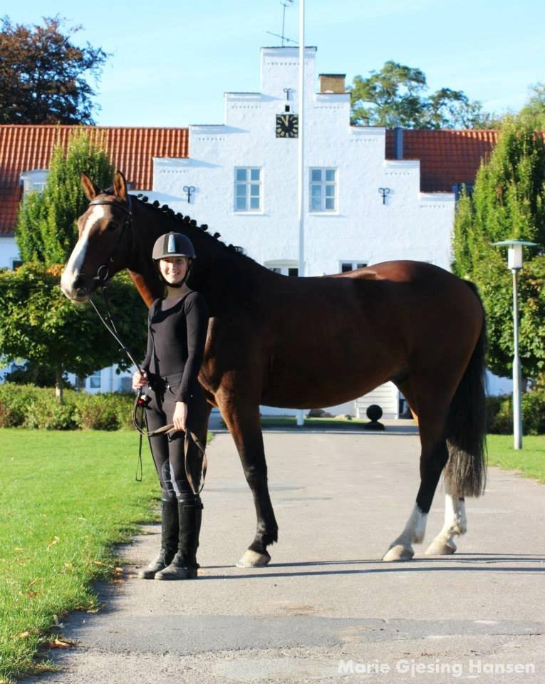 Anden særlig race Bakkegårdens Rex billede 6