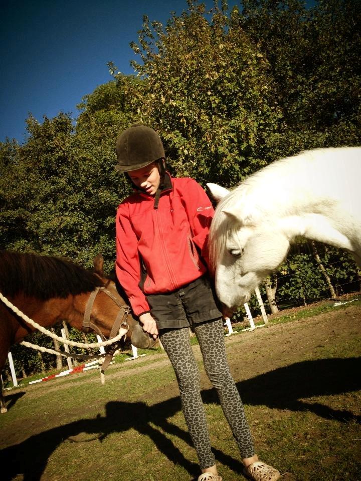 Welsh Mountain (sec A) Coco Zeylex - Mig med mor og pony:D billede 5