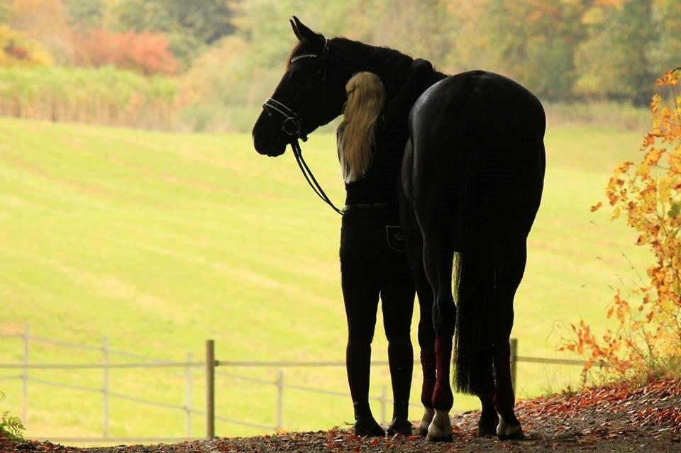 Dansk Varmblod Bucklands Donna - Soulmates <3
Foto: Laura Bogut Andersen billede 12