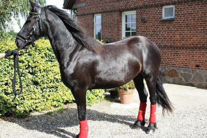 Frieser Kamira faw Dean billede 1