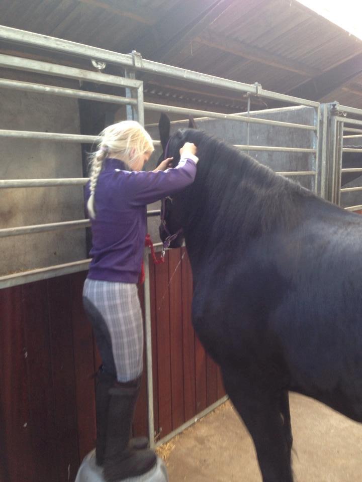 Frieser Kamira faw Dean billede 4