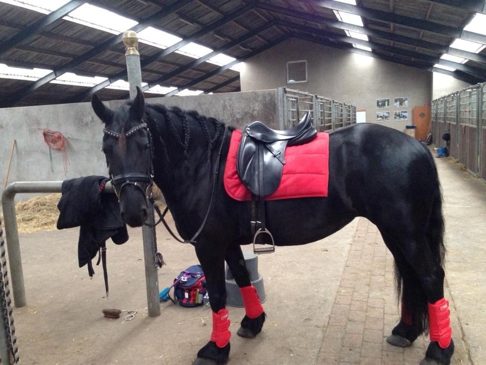 Frieser Kamira faw Dean billede 5