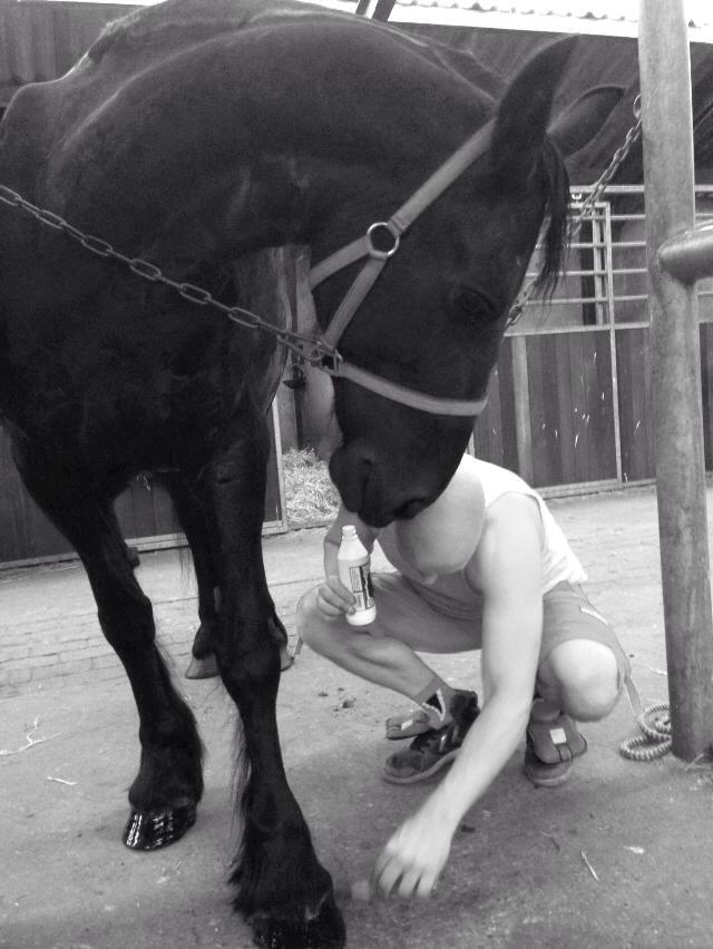 Frieser Kamira faw Dean billede 7