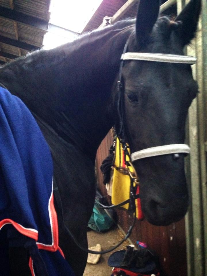 Frieser Kamira faw Dean billede 9