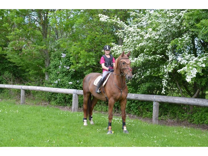 {{currentPhoto.altText}} billede {{currentPhoto.number}}