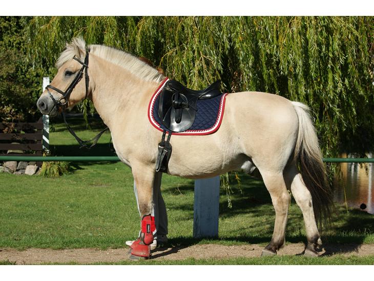 {{currentPhoto.altText}} billede {{currentPhoto.number}}