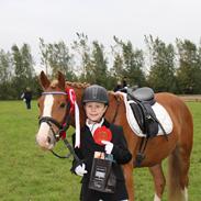 DSP Hededahls De Flax