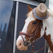 Anden særlig race Åbo 's sweet <3