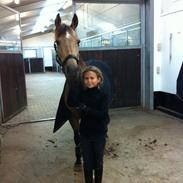 Anden særlig race Maribo`s White Pine (Jasmina)