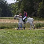 Anden særlig race Hyldeholts Butterfly