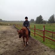 Anden særlig race Belle <3