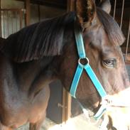 Traver Kom Granly (Beauty)