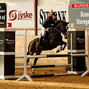 Irsk Sportspony Clonkela Miss <3