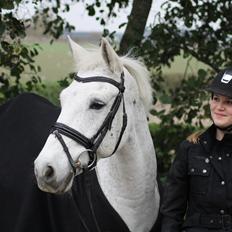 Connemara Hesselholt's Casano B-pony