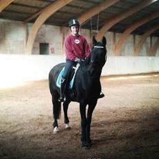 Anden særlig race Sweet Alexander