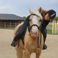 DSP Tovdal's Ivory Princess <3