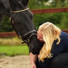 Frieser Joop Fan'e Sjongedyk "faust"
